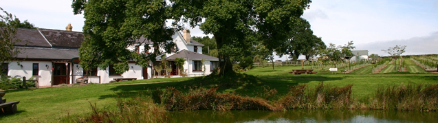 Picture of Jabajak Vineyard Restaurant with Rooms, restaurants accommodation in Banc y llain, Llanboidy, Whitland, Carmarthenshire, Carmarthenshire.