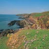 Caldey Island