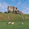 Dolwyddelan Castle