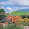 National Botanic Garden of Wales