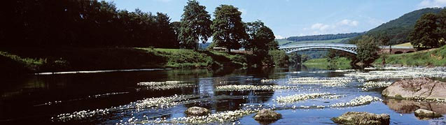 Shot of Wye Valley and the Vale of Usk