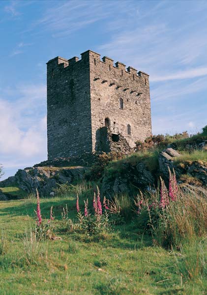 Dolwyddelan Castle - Photo 1