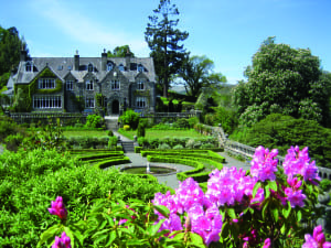 penmaenuchaf - house with rhodis