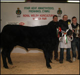 Royal Welsh Agricultural Winter Show. Courtesy of Royal Welsh Show