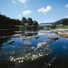 Caerleon Roman Baths 