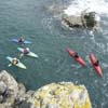 Coasteering with Preseli Venture